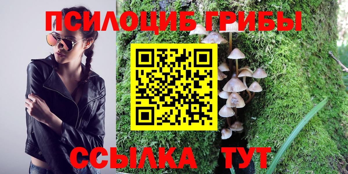 Бугульма  цены   Вход с VPN  Псилоцибиновые грибы Psilocybine cubensis 